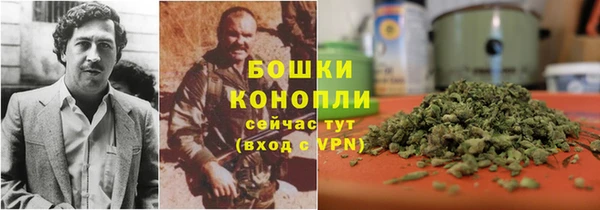 стаф Волосово