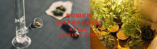 стаф Волосово