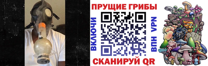 OMG ссылки  Нестеровская  Галлюциногенные грибы GOLDEN TEACHER 